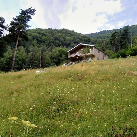 Guesthouse Gama In Khevsureti Roshka Esterno foto