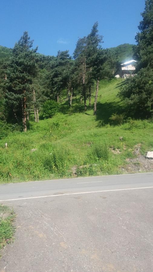 Guesthouse Gama In Khevsureti Roshka Esterno foto