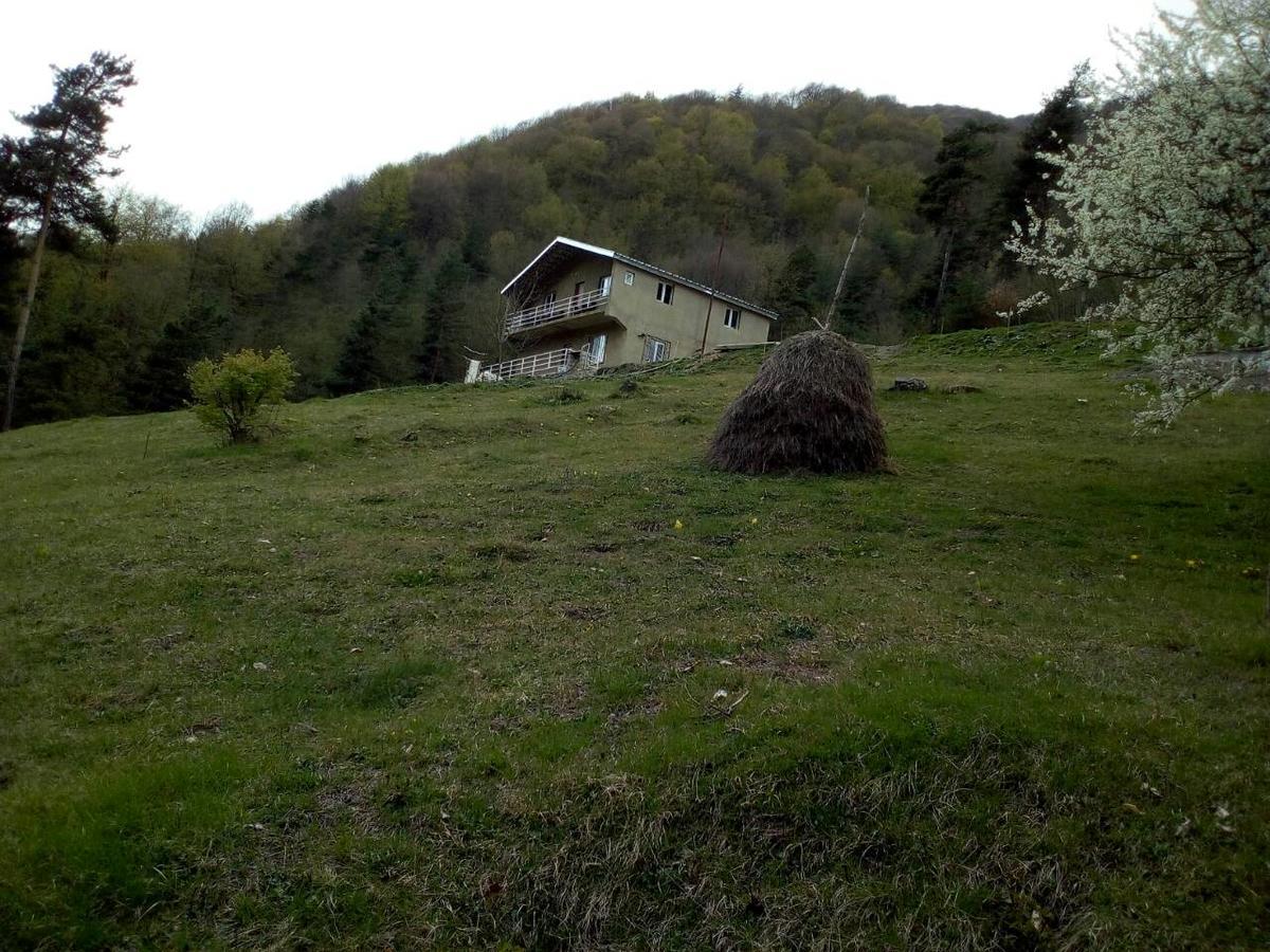 Guesthouse Gama In Khevsureti Roshka Esterno foto